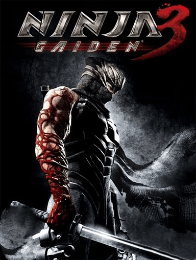 Ninja Gaiden 3 cover