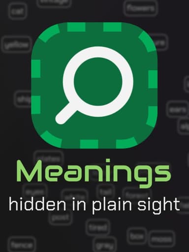 Meanings: Hidden in Plain Sight cover